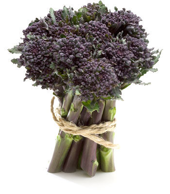 Broccoli Viola Cimette